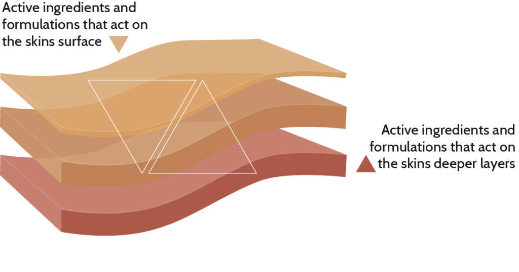 skin layer graphic